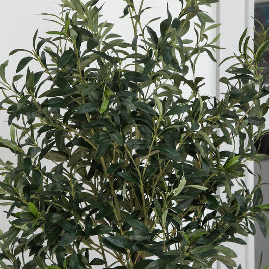 Artificial Olive Tree in White Round Planter